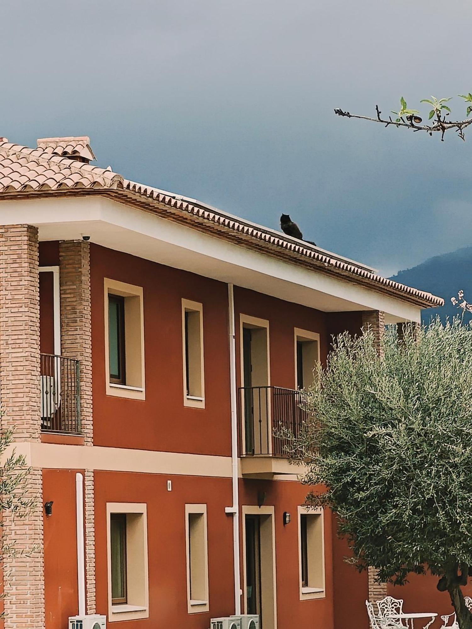 Finca Oliva Bolulla Εξωτερικό φωτογραφία