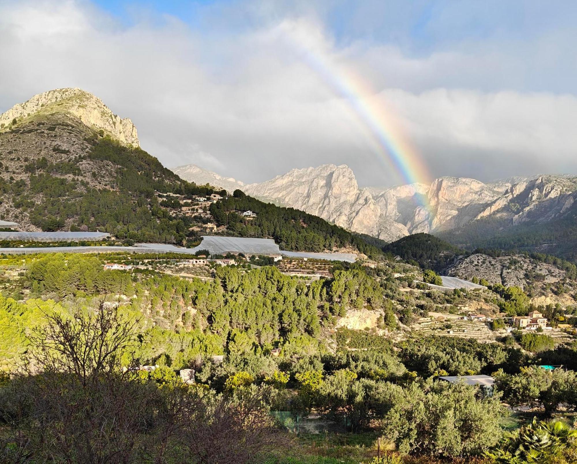 Finca Oliva Bolulla Εξωτερικό φωτογραφία